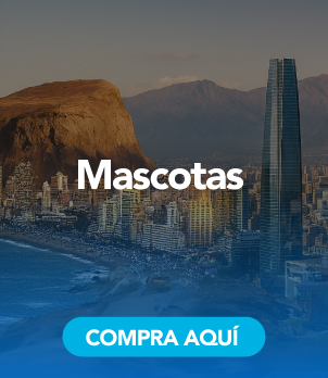 Mascotas