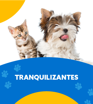 C tranqui aiuykjthrg