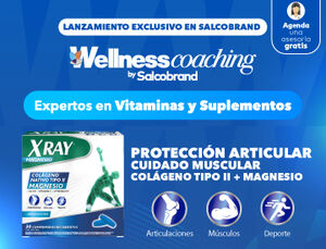 Banner x ray sb lanzamiento sb categoria small