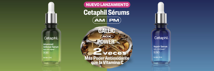 Categoria big %286%29 %281%29