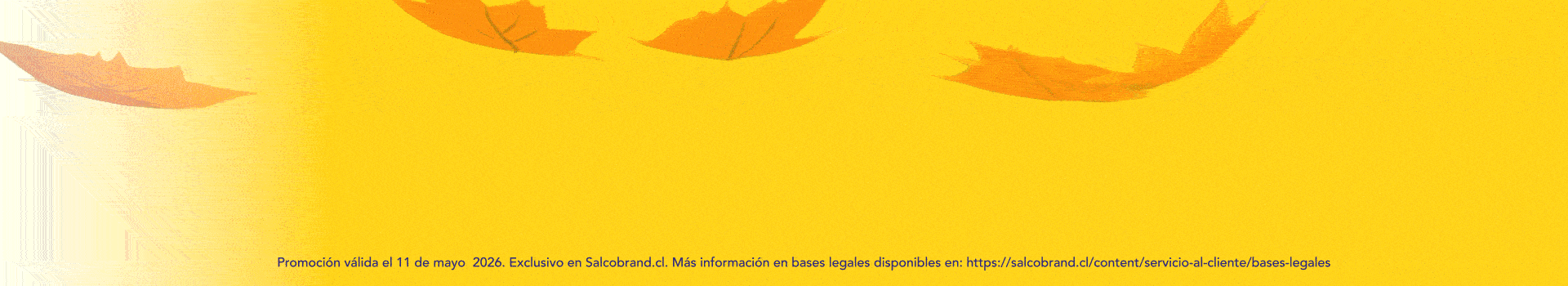 Oferta por tiempo limitado