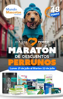 Dia del Perro