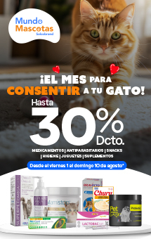 Dia del Gato