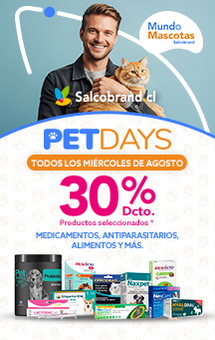 Pet Days Agosto