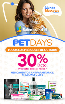 Pet Days 