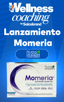 Lanzamiento Memoria