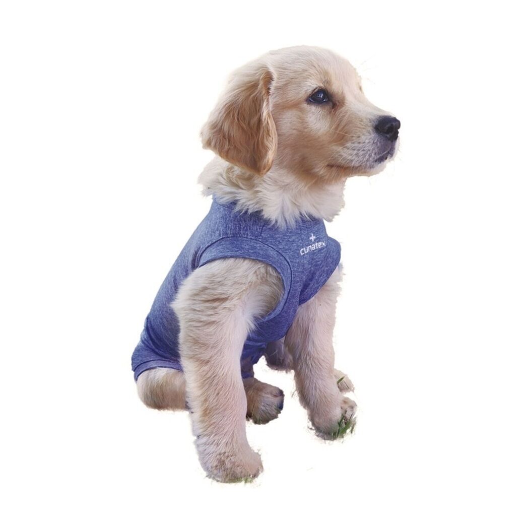 Body Con Cobre Para Perro Talla 6 Azul
