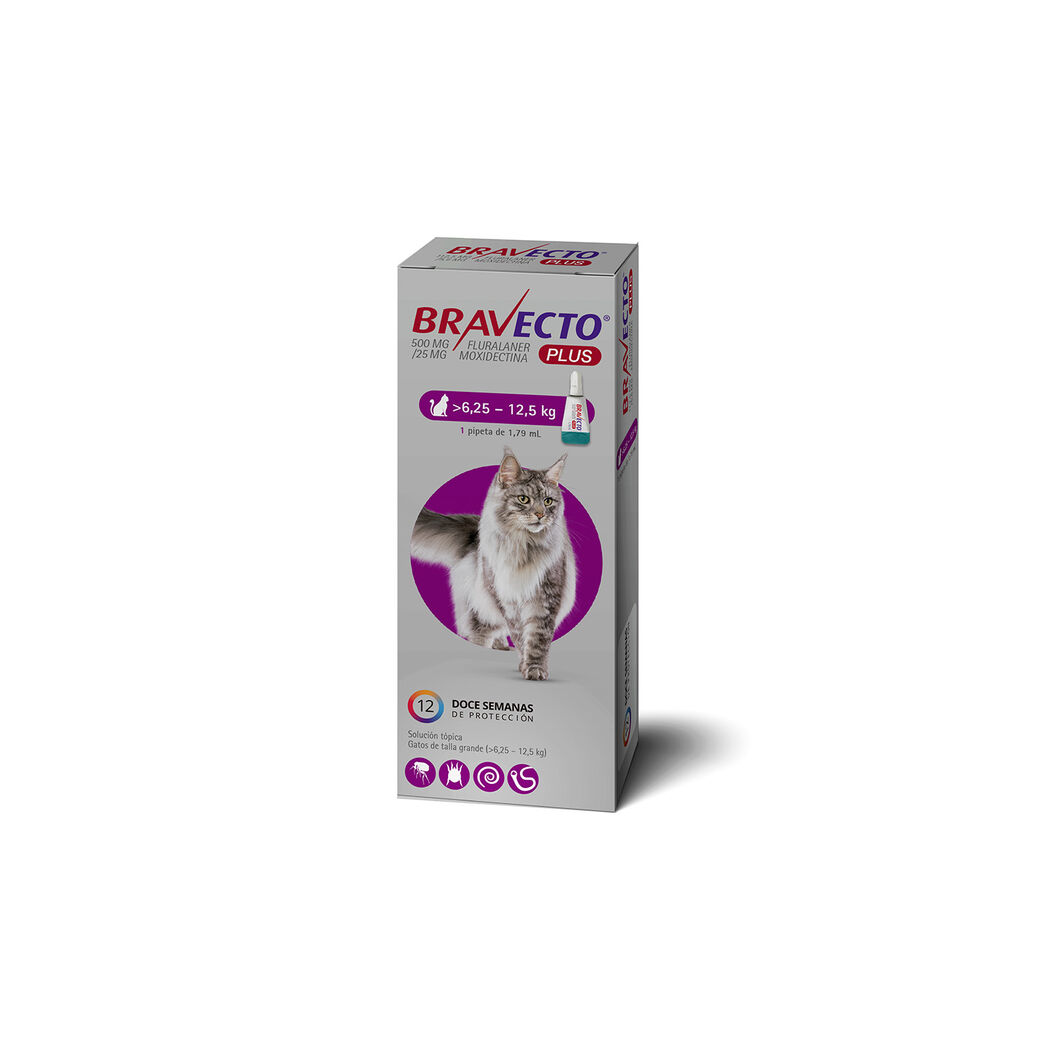 Bravecto Gato Plus 6.25 a 12.5kg Pipeta 1.79ml