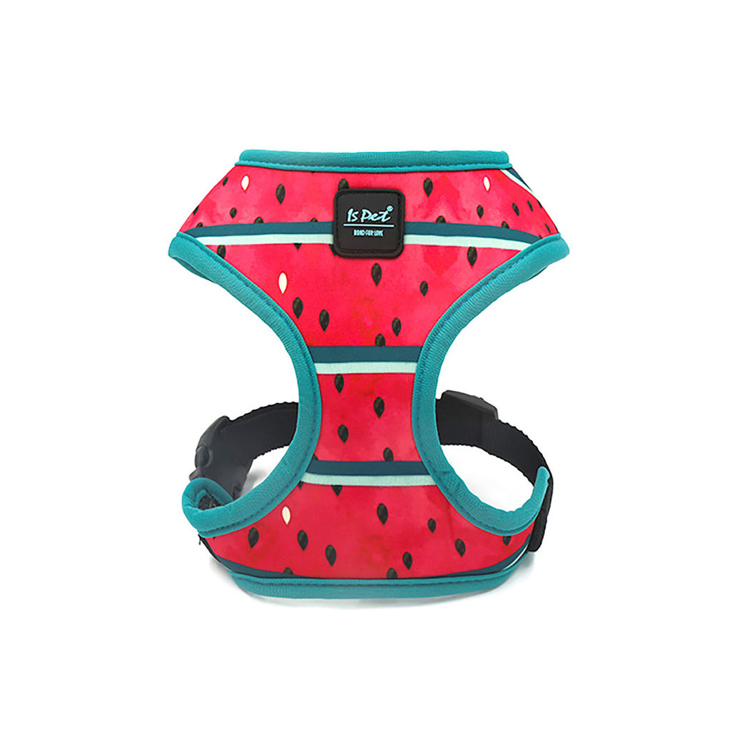 Arnes Para Mascotas Ispet Sandía Talla M