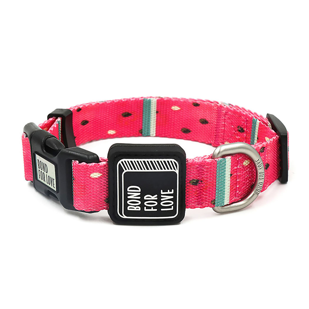 Ispet Collar Mascotas Sandia M